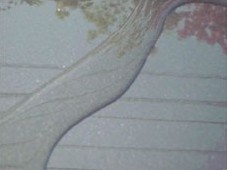 撥水性能